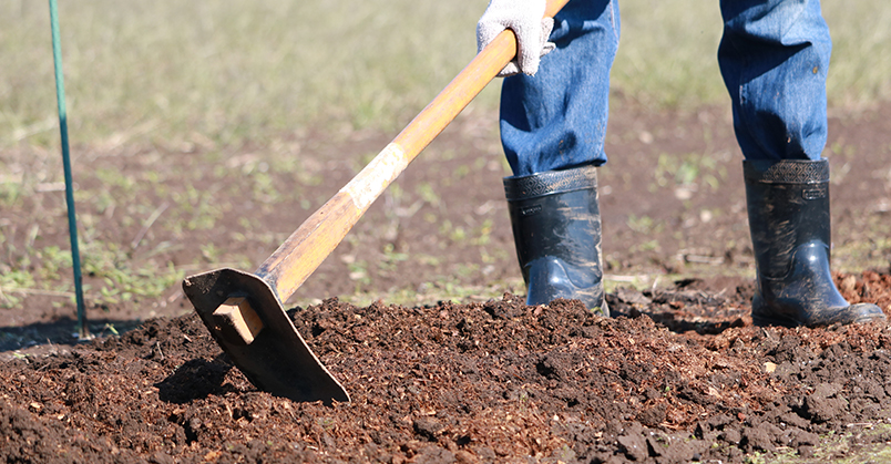 Planting & Seeding