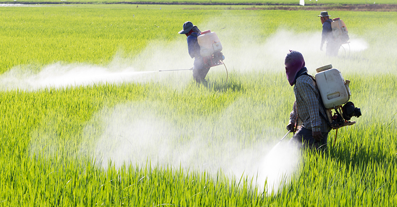 Spraying agricultural chemicals such as pesticide