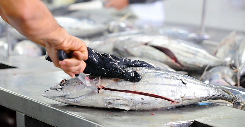 Seafood Processing