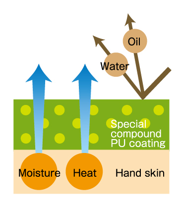 Liquid proof Breathable membrane fixed between coating and liner.