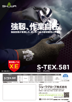 S-TEX581 リーフレットを見る