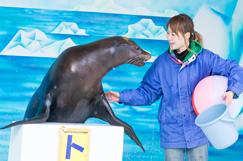 約200種の動物たちと、笑顔いっぱいのショーがお出迎え