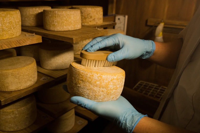 チーズの表面を磨く作業