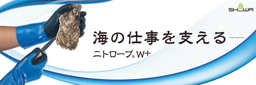 その他画像（ニトローブ W+）