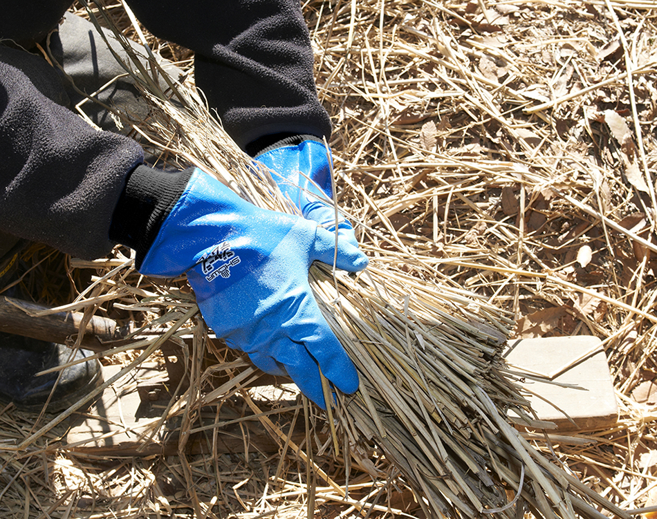 ユース画像(ジャージテムレス)